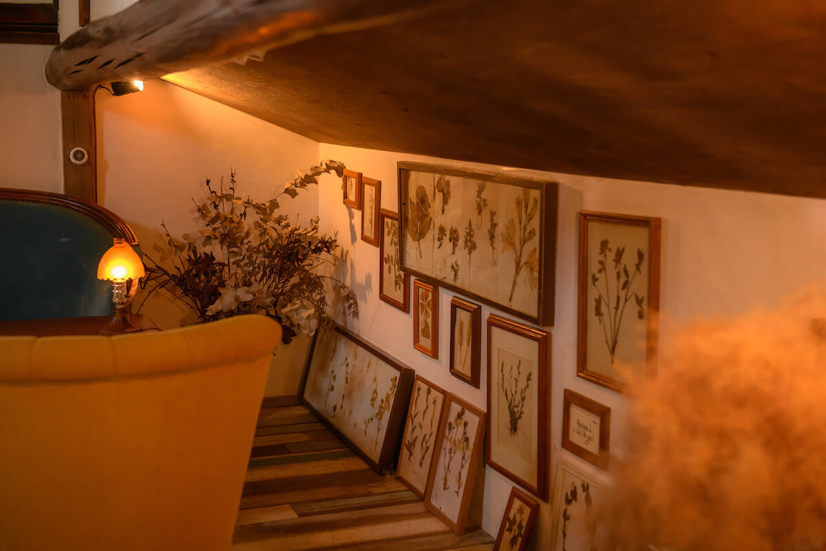 中二階の押し葉の画像