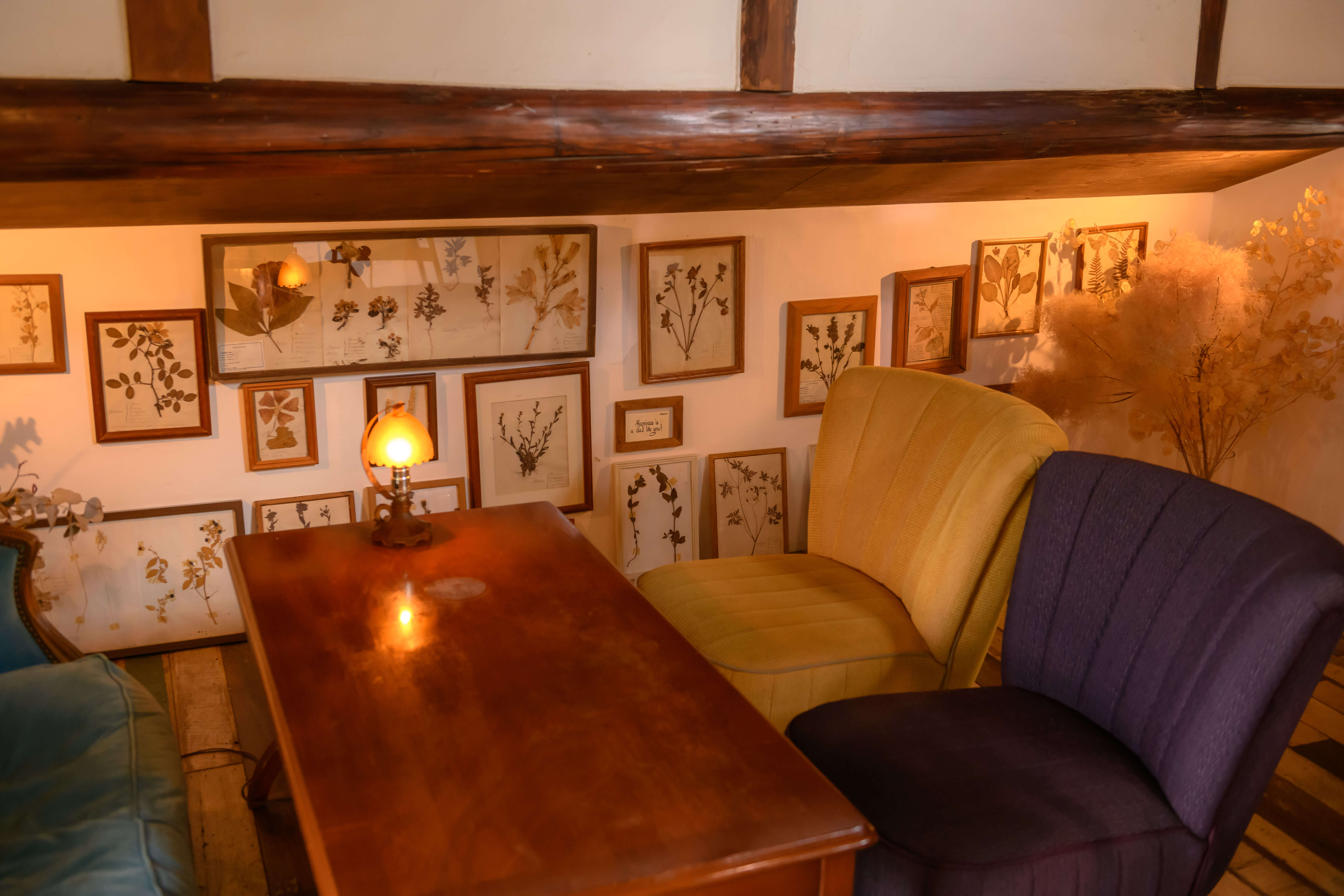 中二階の押し葉の画像